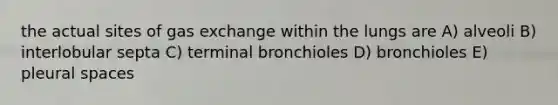 the actual sites of gas exchange within the lungs are A) alveoli B) interlobular septa C) terminal bronchioles D) bronchioles E) pleural spaces