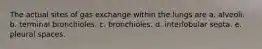 The actual sites of gas exchange within the lungs are a. alveoli. b. terminal bronchioles. c. bronchioles. d. interlobular septa. e. pleural spaces.