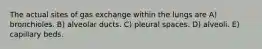The actual sites of gas exchange within the lungs are A) bronchioles. B) alveolar ducts. C) pleural spaces. D) alveoli. E) capillary beds.