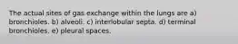 The actual sites of gas exchange within the lungs are a) bronchioles. b) alveoli. c) interlobular septa. d) terminal bronchioles. e) pleural spaces.