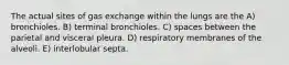 The actual sites of gas exchange within the lungs are the A) bronchioles. B) terminal bronchioles. C) spaces between the parietal and visceral pleura. D) respiratory membranes of the alveoli. E) interlobular septa.