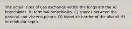 The actual sites of gas exchange within the lungs are the A) bronchioles. B) terminal bronchioles. C) spaces between the parietal and visceral pleura. D) blood air barrier of the alveoli. E) interlobular septa.