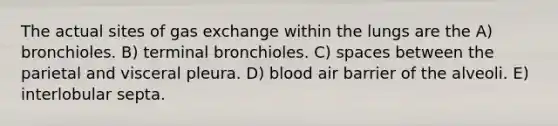 The actual sites of <a href='https://www.questionai.com/knowledge/kU8LNOksTA-gas-exchange' class='anchor-knowledge'>gas exchange</a> within the lungs are the A) bronchioles. B) terminal bronchioles. C) spaces between the parietal and visceral pleura. D) blood air barrier of the alveoli. E) interlobular septa.