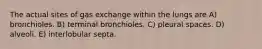 The actual sites of gas exchange within the lungs are A) bronchioles. B) terminal bronchioles. C) pleural spaces. D) alveoli. E) interlobular septa.