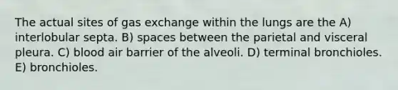 The actual sites of gas exchange within the lungs are the A) interlobular septa. B) spaces between the parietal and visceral pleura. C) blood air barrier of the alveoli. D) terminal bronchioles. E) bronchioles.