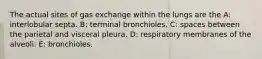 The actual sites of gas exchange within the lungs are the A: interlobular septa. B: terminal bronchioles. C: spaces between the parietal and visceral pleura. D: respiratory membranes of the alveoli. E: bronchioles.