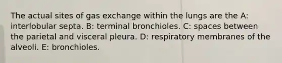 The actual sites of <a href='https://www.questionai.com/knowledge/kU8LNOksTA-gas-exchange' class='anchor-knowledge'>gas exchange</a> within the lungs are the A: interlobular septa. B: terminal bronchioles. C: spaces between the parietal and visceral pleura. D: respiratory membranes of the alveoli. E: bronchioles.