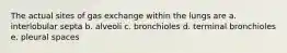 The actual sites of gas exchange within the lungs are a. interlobular septa b. alveoli c. bronchioles d. terminal bronchioles e. pleural spaces