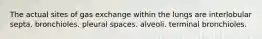 The actual sites of gas exchange within the lungs are interlobular septa. bronchioles. pleural spaces. alveoli. terminal bronchioles.