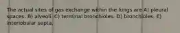 The actual sites of gas exchange within the lungs are A) pleural spaces. B) alveoli. C) terminal bronchioles. D) bronchioles. E) interlobular septa.