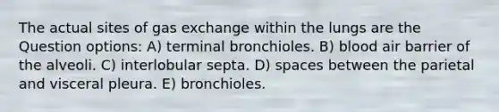 The actual sites of gas exchange within the lungs are the Question options: A) terminal bronchioles. B) blood air barrier of the alveoli. C) interlobular septa. D) spaces between the parietal and visceral pleura. E) bronchioles.