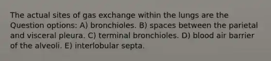 The actual sites of gas exchange within the lungs are the Question options: A) bronchioles. B) spaces between the parietal and visceral pleura. C) terminal bronchioles. D) blood air barrier of the alveoli. E) interlobular septa.