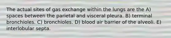 The actual sites of <a href='https://www.questionai.com/knowledge/kU8LNOksTA-gas-exchange' class='anchor-knowledge'>gas exchange</a> within the lungs are the A) spaces between the parietal and visceral pleura. B) terminal bronchioles. C) bronchioles. D) blood air barrier of the alveoli. E) interlobular septa.