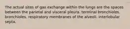 The actual sites of gas exchange within the lungs are the spaces between the parietal and visceral pleura. terminal bronchioles. bronchioles. respiratory membranes of the alveoli. interlobular septa.