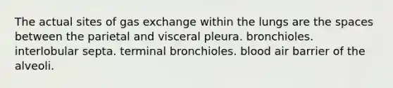 The actual sites of gas exchange within the lungs are the spaces between the parietal and visceral pleura. bronchioles. interlobular septa. terminal bronchioles. blood air barrier of the alveoli.