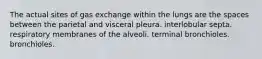 The actual sites of gas exchange within the lungs are the spaces between the parietal and visceral pleura. interlobular septa. respiratory membranes of the alveoli. terminal bronchioles. bronchioles.