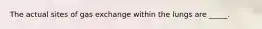 The actual sites of gas exchange within the lungs are _____.