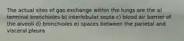 The actual sites of gas exchange within the lungs are the a) terminal bronchioles b) interlobular septa c) blood air barrier of the alveoli d) bronchioles e) spaces between the parietal and visceral pleura