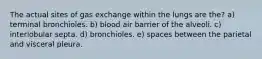 The actual sites of gas exchange within the lungs are the? a) terminal bronchioles. b) blood air barrier of the alveoli. c) interlobular septa. d) bronchioles. e) spaces between the parietal and visceral pleura.