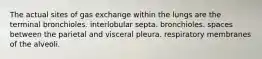 The actual sites of gas exchange within the lungs are the terminal bronchioles. interlobular septa. bronchioles. spaces between the parietal and visceral pleura. respiratory membranes of the alveoli.