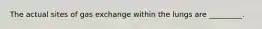 The actual sites of gas exchange within the lungs are _________.