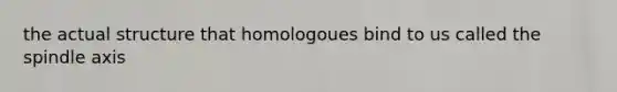 the actual structure that homologoues bind to us called the spindle axis