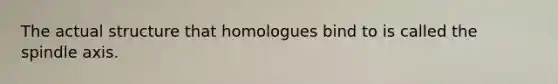 The actual structure that homologues bind to is called the spindle axis.