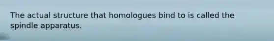 The actual structure that homologues bind to is called the spindle apparatus.
