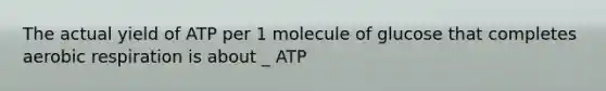 The actual yield of ATP per 1 molecule of glucose that completes aerobic respiration is about _ ATP