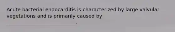 Acute bacterial endocarditis is characterized by large valvular vegetations and is primarily caused by ____________________________.