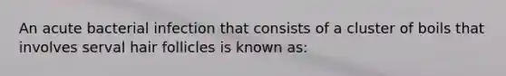 An acute bacterial infection that consists of a cluster of boils that involves serval hair follicles is known as: