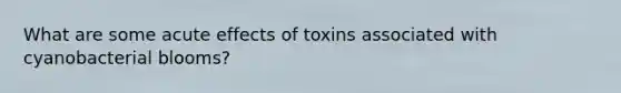 What are some acute effects of toxins associated with cyanobacterial blooms?