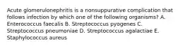 Acute glomerulonephritis is a nonsuppurative complication that follows infection by which one of the following organisms? A. Enterococcus faecalis B. Streptococcus pyogenes C. Streptococcus pneumoniae D. Streptococcus agalactiae E. Staphylococcus aureus