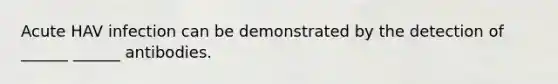 Acute HAV infection can be demonstrated by the detection of ______ ______ antibodies.