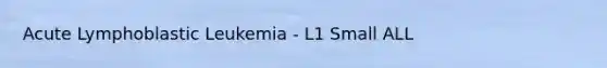 Acute Lymphoblastic Leukemia - L1 Small ALL