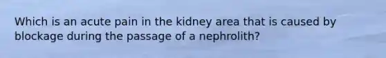 Which is an acute pain in the kidney area that is caused by blockage during the passage of a nephrolith?