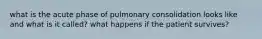 what is the acute phase of pulmonary consolidation looks like and what is it called? what happens if the patient survives?