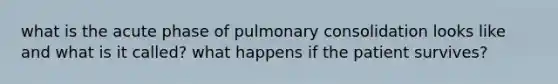 what is the acute phase of pulmonary consolidation looks like and what is it called? what happens if the patient survives?