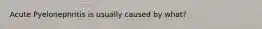 Acute Pyelonephritis is usually caused by what?