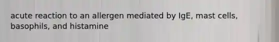 acute reaction to an allergen mediated by IgE, mast cells, basophils, and histamine