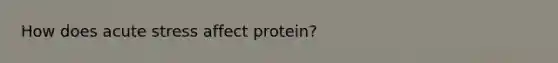 How does acute stress affect protein?