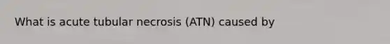 What is acute tubular necrosis (ATN) caused by