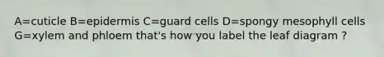 A=cuticle B=epidermis C=guard cells D=spongy mesophyll cells G=xylem and phloem that's how you label the leaf diagram ?