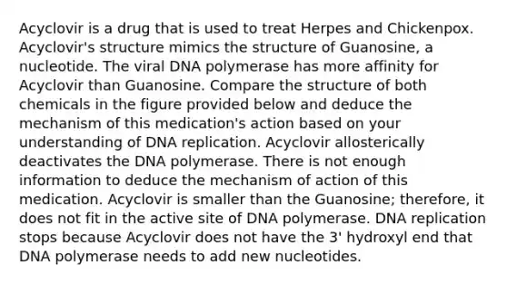 Acyclovir is a drug that is used to treat Herpes and Chickenpox. Acyclovir's structure mimics the structure of Guanosine, a nucleotide. The viral DNA polymerase has more affinity for Acyclovir than Guanosine. Compare the structure of both chemicals in the figure provided below and deduce the mechanism of this medication's action based on your understanding of DNA replication. Acyclovir allosterically deactivates the DNA polymerase. There is not enough information to deduce the mechanism of action of this medication. Acyclovir is smaller than the Guanosine; therefore, it does not fit in the active site of DNA polymerase. DNA replication stops because Acyclovir does not have the 3' hydroxyl end that DNA polymerase needs to add new nucleotides.