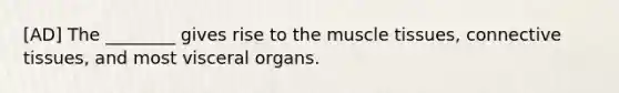 [AD] The ________ gives rise to the muscle tissues, connective tissues, and most visceral organs.