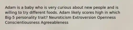 Adam is a baby who is very curious about new people and is willing to try different foods. Adam likely scores high in which Big-5 personality trait? Neuroticism Extroversion Openness Conscientiousness Agreeableness