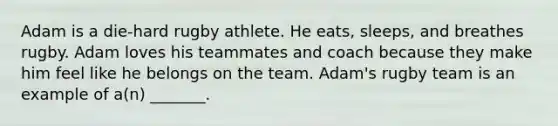 Adam is a die-hard rugby athlete. He eats, sleeps, and breathes rugby. Adam loves his teammates and coach because they make him feel like he belongs on the team. Adam's rugby team is an example of a(n) _______.