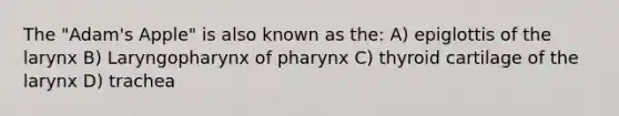 The "Adam's Apple" is also known as the: A) epiglottis of the larynx B) Laryngopharynx of pharynx C) thyroid cartilage of the larynx D) trachea
