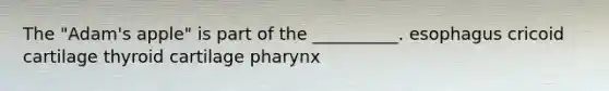 The "Adam's apple" is part of the __________. esophagus cricoid cartilage thyroid cartilage pharynx