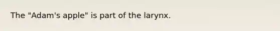 The "Adam's apple" is part of the larynx.